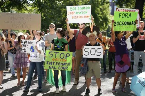 Proteste contro la deforestazione in Amazzonia e le politiche ambientali 