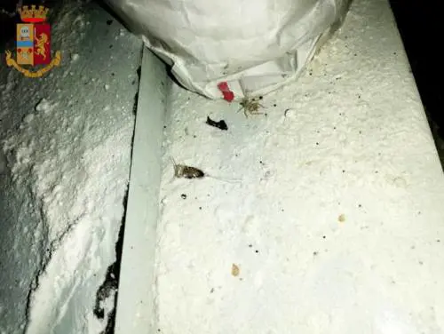 Alimenti avariati. Maxi-sequestro in ristorante cinese a Torino