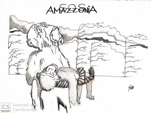 La vignetta del giorno: sos Amazzonia