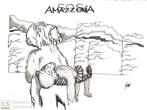 La vignetta del giorno: sos Amazzonia