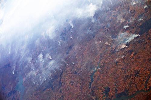 Amazzonia, Parmitano lancia allarme: "Fumo visibile da spazio"