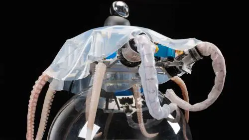 "Mi sono ispirata ai polipi e ho creato il robot del futuro"