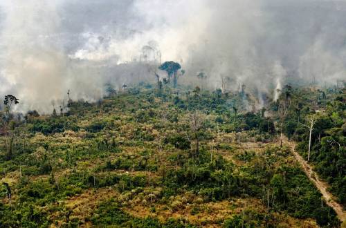 Il ruolo "nascosto" della Cina nella deforestazione in Amazzonia