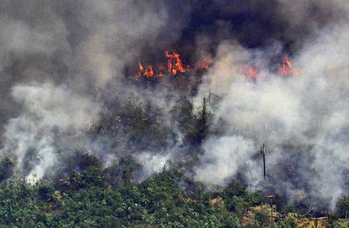 Amazzonia, così le Ong incendiano la foresta per incassare i fondi stranieri