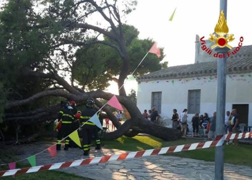 Cagliari, cade un pino sui bambini durante una festa di compleanno