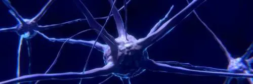 Autismo, un marker neurale per la diagnosi precoce