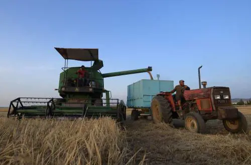 Truffa all'Inps di 5,6 milioni, denunciate 500 persone in Calabria