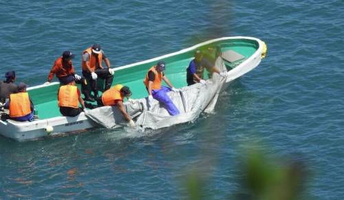 Giappone, nella baia di Taiji inizia l'annuale massacro di delfini