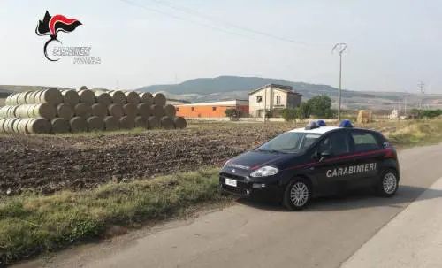 Potenza, la guerra della paglia: arrestati due fratelli