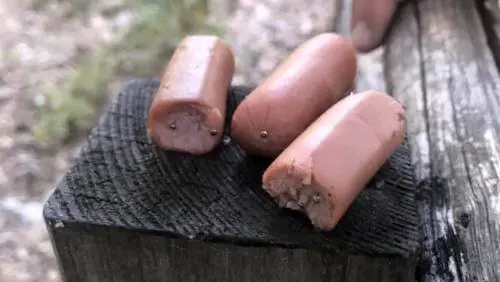 Würstel con spilli usati come esche per cani