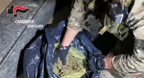 Reggio Calabria, blitz antidroga: arrestati 13 trafficanti