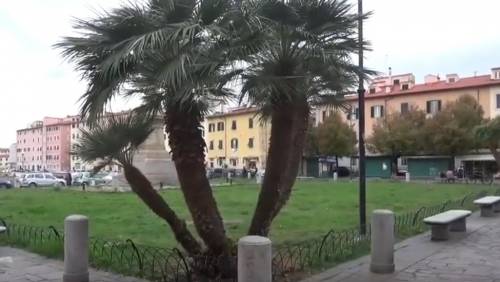 Livorno, rissa in pieno pomeriggio con katana: cittadini terrorizzati