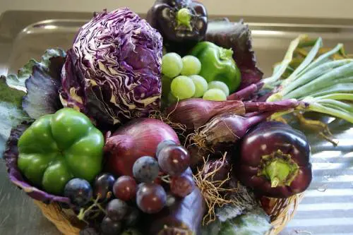 Mal d'autunno, come contrastarlo con l'alimentazione