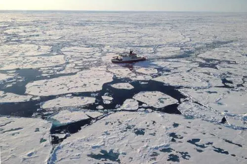 Rapporto dell'Onu avverte: "A rischio la vita negli oceani"