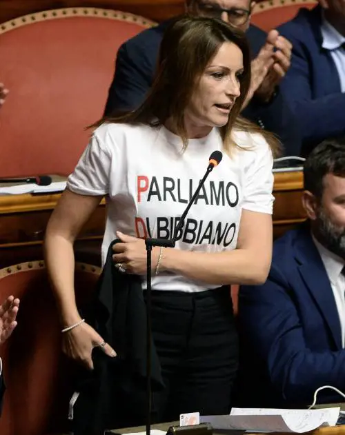 Il Pd vuole mettere a tacere tutto: "No alle magliette su Bibbiano"
