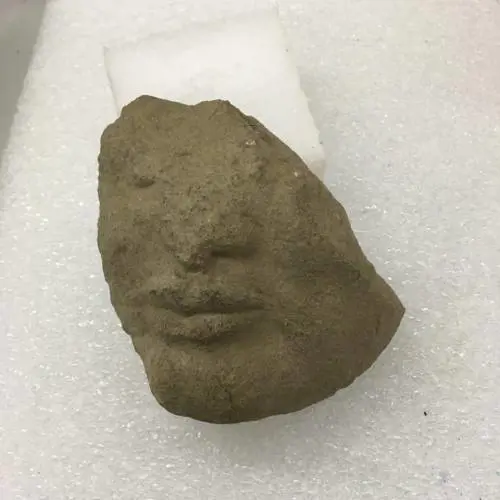 A Paestum spunta una testa tardo-arcaica