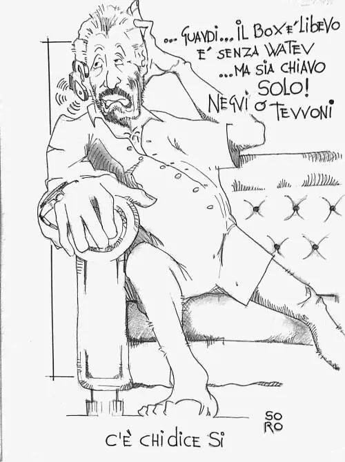 La vignetta del giorno - Lerner e il box libero