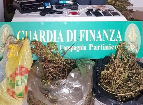Maxi blitz antidroga, sequestrata marijuana per oltre 1 milione di euro