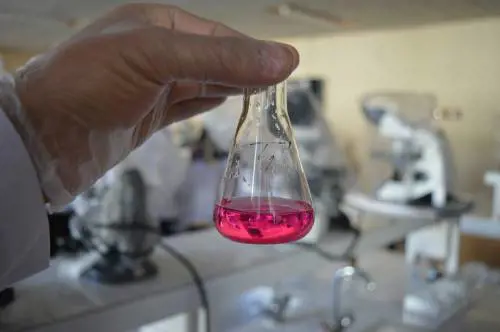 Sclerosi multipla, le cellule staminali mesenchimali sono sicure