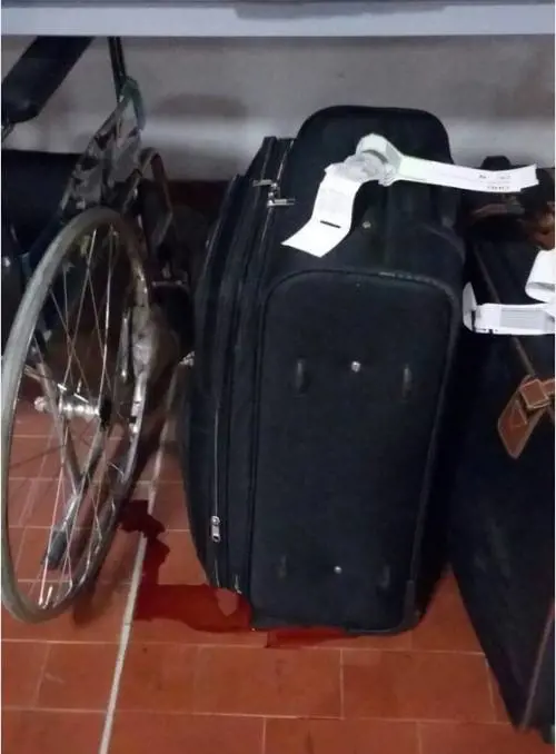 Dall'Africa con la carne in valigia: esce sangue dai trolley a Malpensa