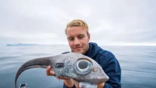 Va a pesca e cattura una creatura 'aliena': "Mai visto nulla di simile"