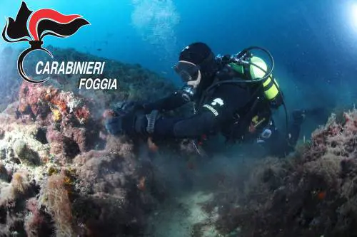 Isole Tremiti, trovati reperti di origine Etrusca