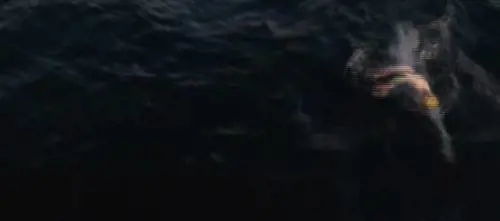 Sarah, nuotatrice da record: attraversa la Manica a nuoto per 4 volte di fila