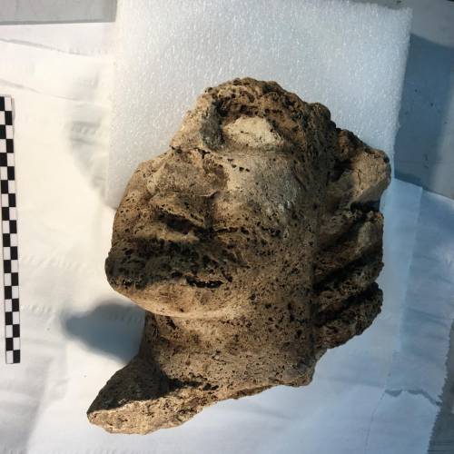 Dagli scavi di Paestum spunta un'altra testa antica