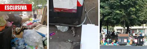 Bimbi a scuola tra l'immondizia, l'allarme del garante per l'Infanzia: "Situazione intollerabile"