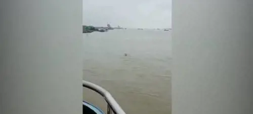 Cina, avvistato "parente" del Mostro di Loch Ness