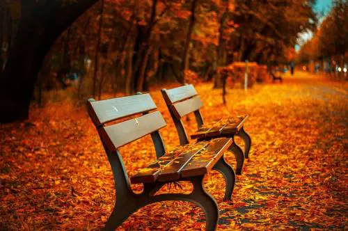 Cambio di stagione autunnale: come contrastare i suoi effetti
