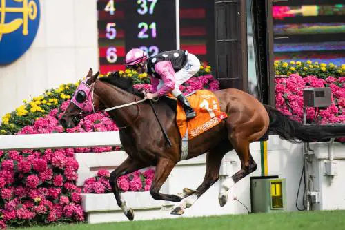 Hong Kong, minacce un cavallo "filo cinese": ippodromo cancella le corse
