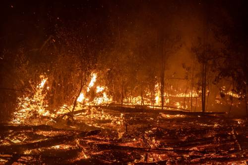 Indonesia, l’altra Amazzonia che brucia nell’indifferenza generale