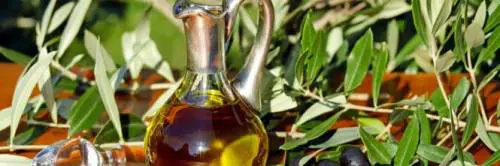 Xylella, si contano i danni: giù la produzione di olio pugliese