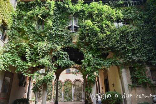 I gioielli nascosti di Milano: Casa degli Atellani e la vigna di Leonardo