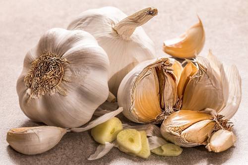 Soffritto con aglio e cipolla: alleato contro il tumore al seno