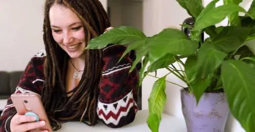 Che tristezza il capitalismo millennial, vegetale e analcolico