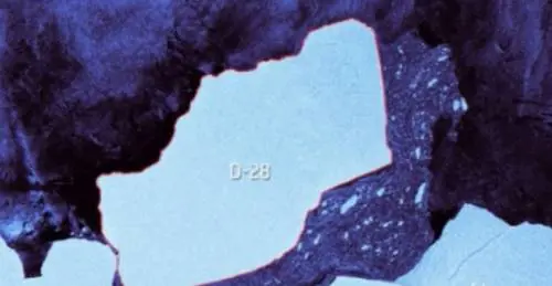 Antartide, un grosso iceberg si è staccato dalla  piattaforma