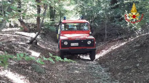 Varese, donna di 87 anni si perde nel bosco: ritrovata dopo un'ora di ricerche