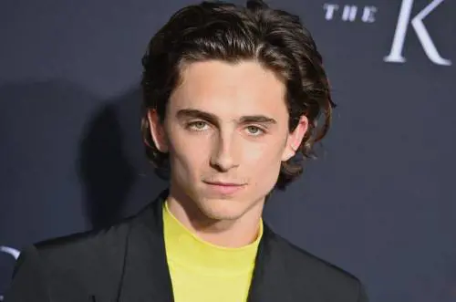 Batman: Timothée Chalamet si candida per Robin