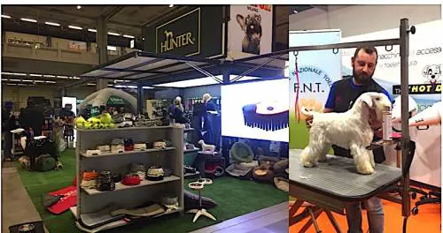 Cani, gatti e non solo: un weekend nel mondo degli animali Pet in fiera