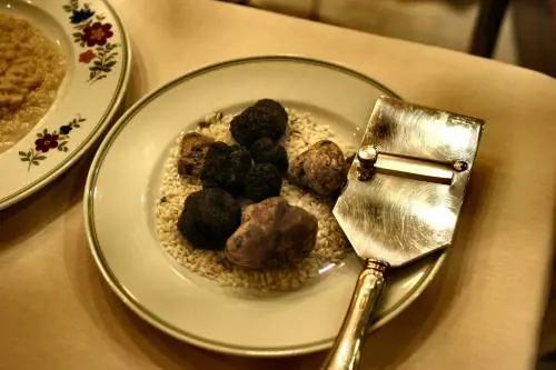 Cala il prezzo del tartufo, corsa all'acquisto