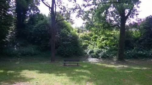Pratica autoerotismo nel parco davanti a due 15enni: denunciato