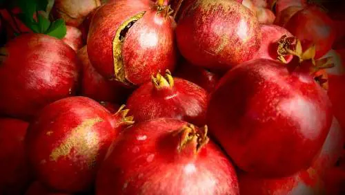 Tutti i benefici dei melograni