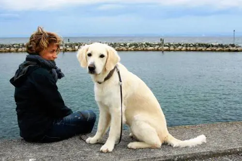 Accudire un cane riduce il rischio di morte