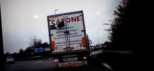 Inghilterra, immigrato sfonda portellone del camion in corsa 