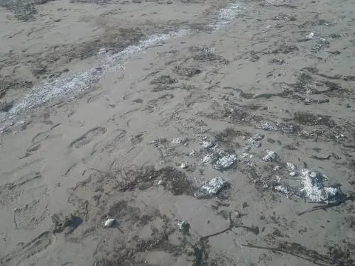 Mondello, si spezza un pontile galleggiante e la spiaggia viene invasa dal polistirolo