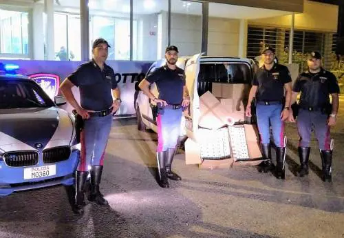 Sul furgone con 100 chili di sigarette di contrabbando: arrestato