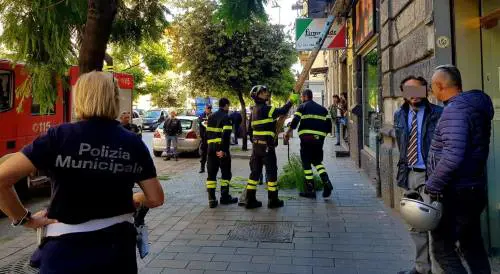 Cade un ramo sul marciapiede di corso Secondigliano, ferita una donna