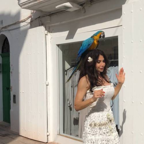 Carmen Di Pietro passeggia con un pappagallo in testa